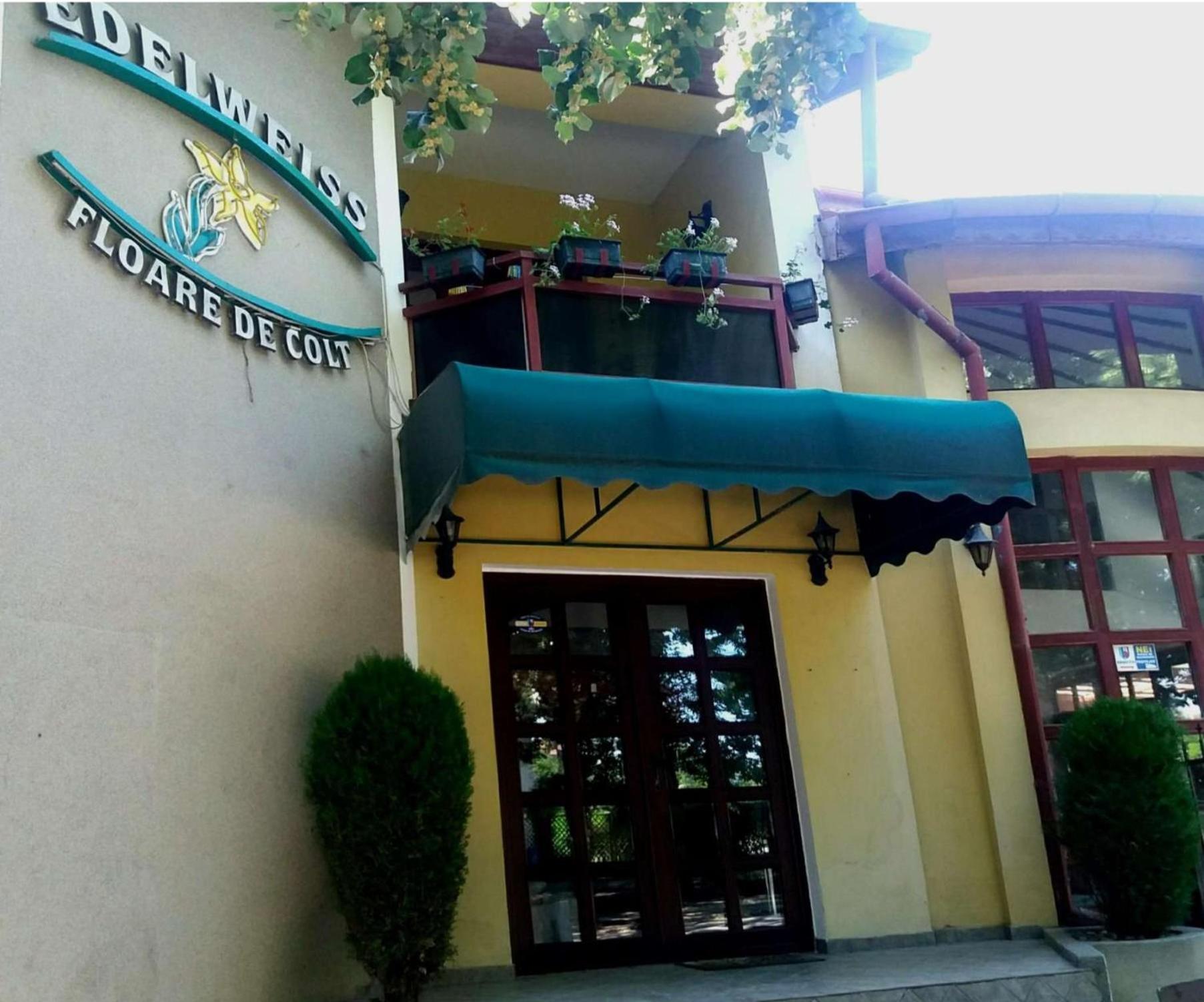 Pension Edelweiss Ngoại thất bức ảnh