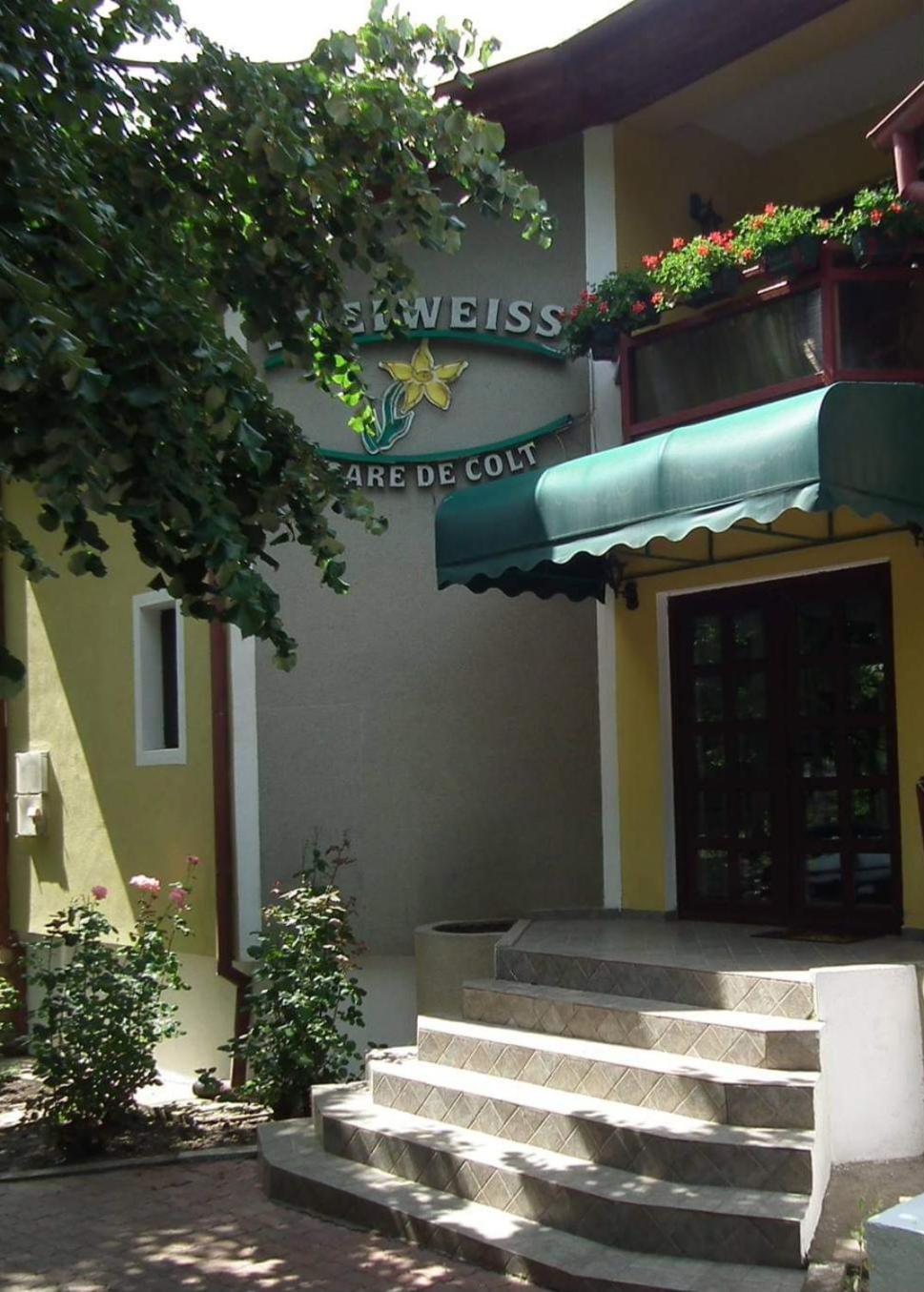 Pension Edelweiss Ngoại thất bức ảnh